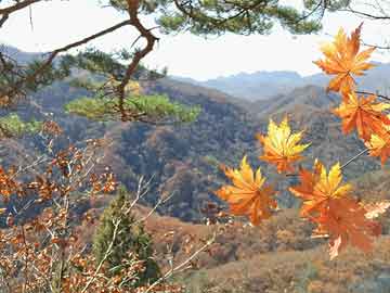 芳菲的意思是什么？：芳菲的意思是什么