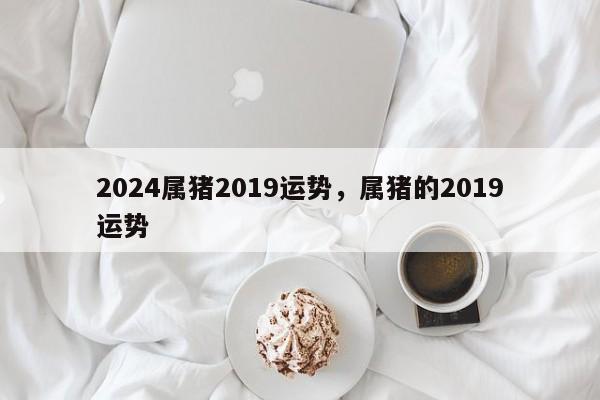 2024属猪2019运势，属猪的2019运势