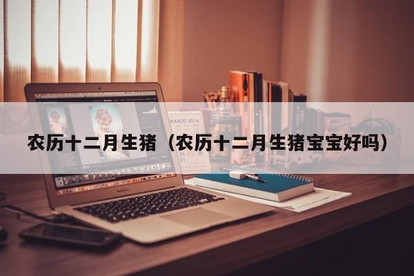 农历十二月生猪（农历十二月生猪宝宝好吗）