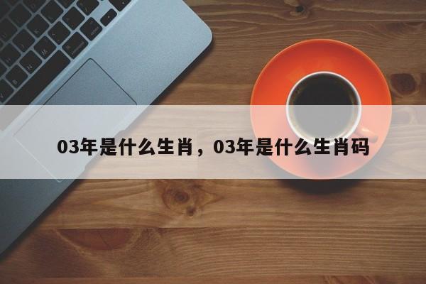 03年是什么生肖，03年是什么生肖码