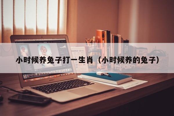 小时候养兔子打一生肖（小时候养的兔子）