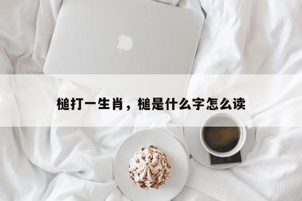 槌打一生肖，槌是什么字怎么读