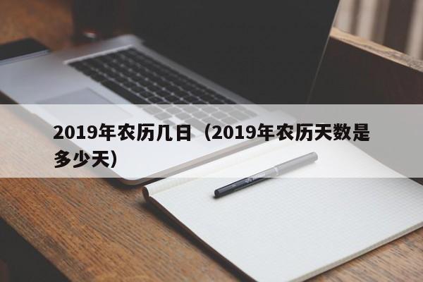 2019年农历几日（2019年农历天数是多少天）