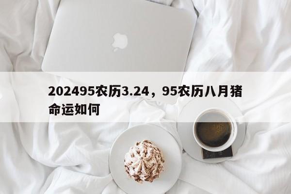 202495农历3.24，95农历八月猪命运如何