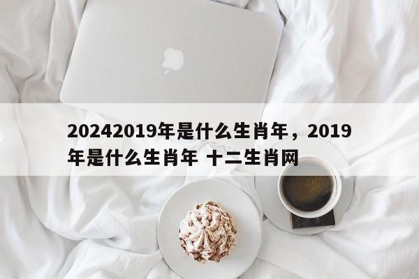 20242019年是什么生肖年，2019年是什么生肖年 十二生肖网