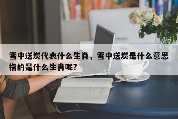 雪中送炭代表什么生肖，雪中送炭是什么意思指的是什么生肖呢?