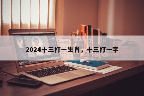 2024十三打一生肖，十三打一字