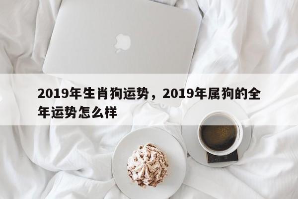 2019年生肖狗运势，2019年属狗的全年运势怎么样