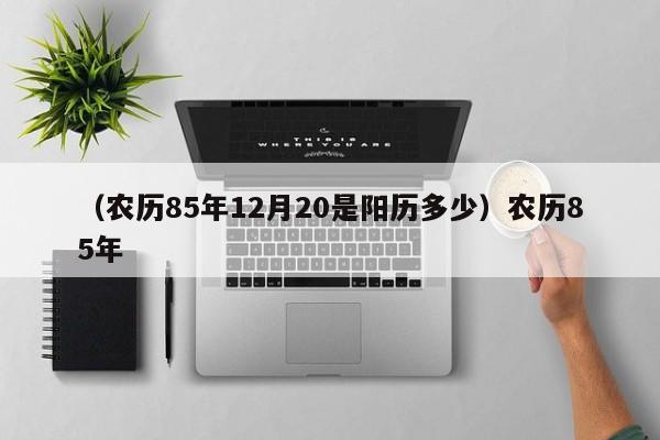 （农历85年12月20是阳历多少）农历85年