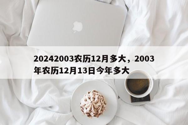 20242003农历12月多大，2003年农历12月13日今年多大