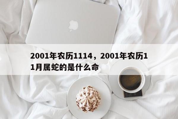 2001年农历1114，2001年农历11月属蛇的是什么命