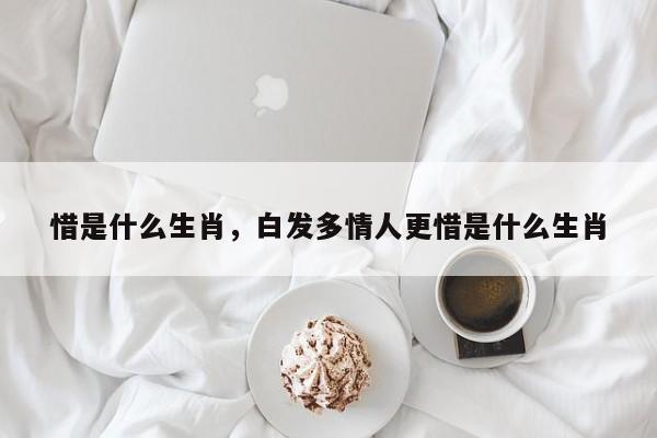 惜是什么生肖，白发多情人更惜是什么生肖