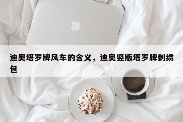 迪奥塔罗牌风车的含义，迪奥竖版塔罗牌刺绣包