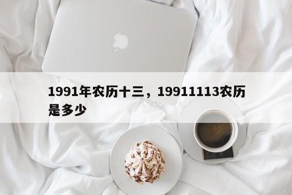 1991年农历十三，19911113农历是多少