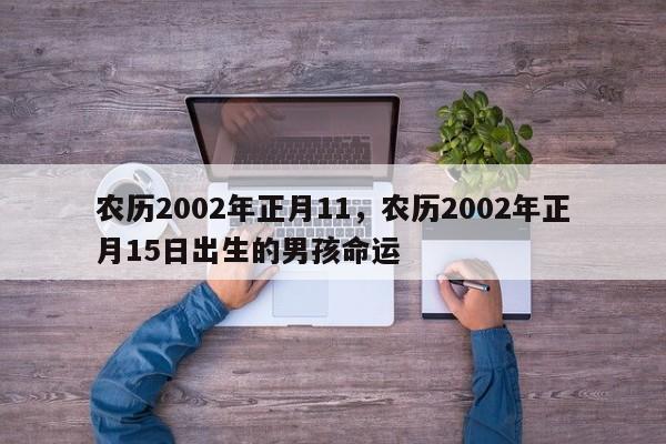 农历2002年正月11，农历2002年正月15日出生的男孩命运