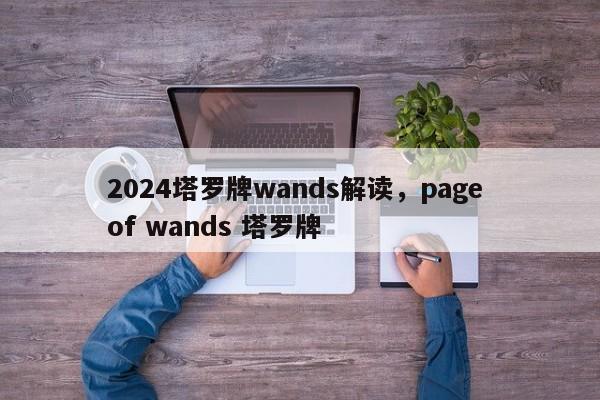 2024塔罗牌wands解读，page of wands 塔罗牌