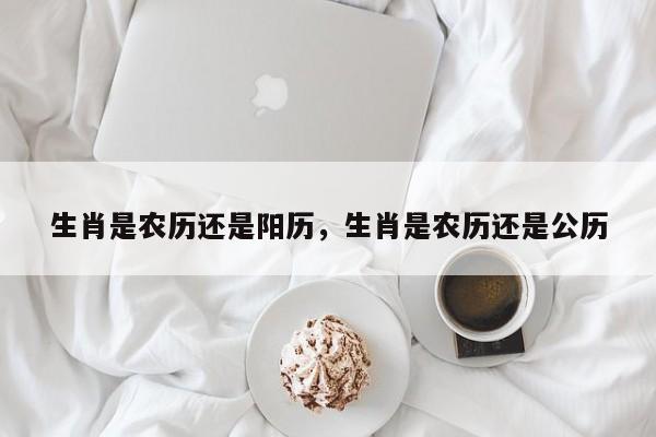 生肖是农历还是阳历，生肖是农历还是公历