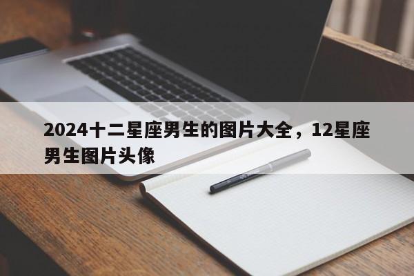 2024十二星座男生的图片大全，12星座男生图片头像