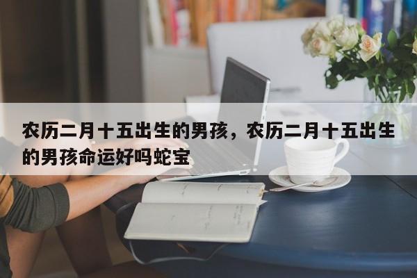 农历二月十五出生的男孩，农历二月十五出生的男孩命运好吗蛇宝