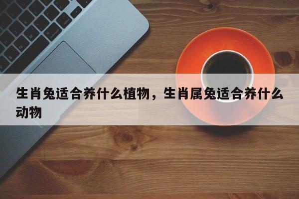 生肖兔适合养什么植物，生肖属兔适合养什么动物