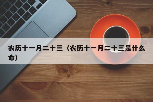 农历十一月二十三（农历十一月二十三是什么命）