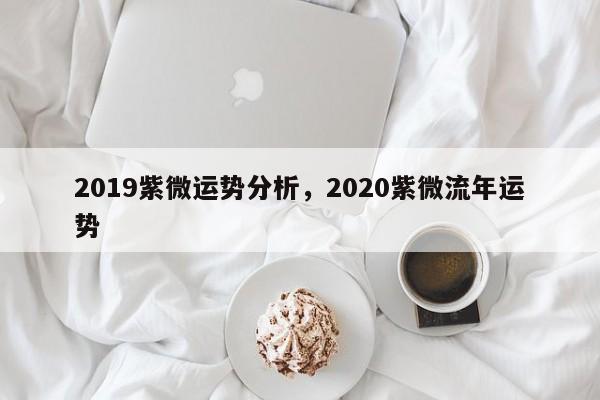 2019紫微运势分析，2020紫微流年运势