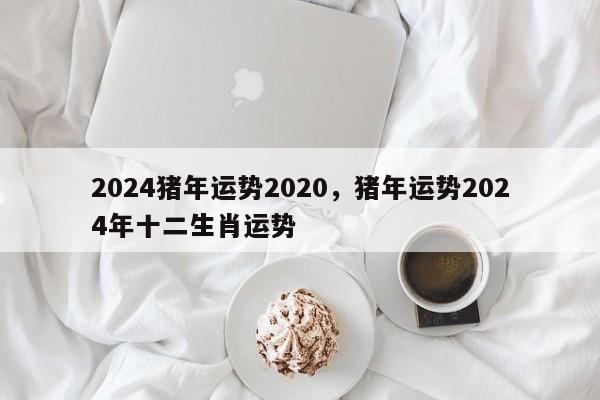 2024猪年运势2020，猪年运势2024年十二生肖运势