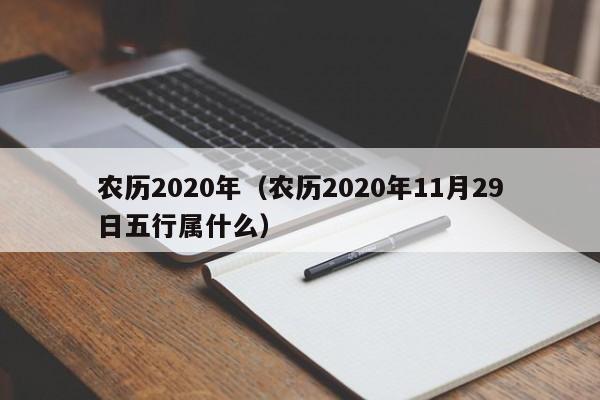 农历2020年（农历2020年11月29日五行属什么）