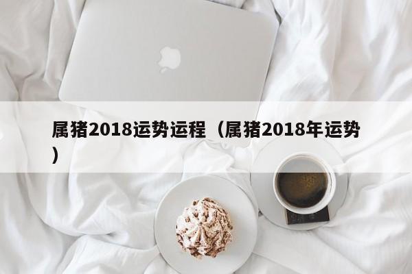 属猪2018运势运程（属猪2018年运势）