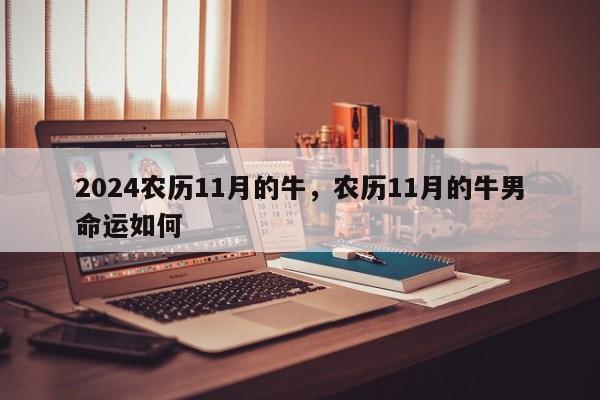 2024农历11月的牛，农历11月的牛男命运如何