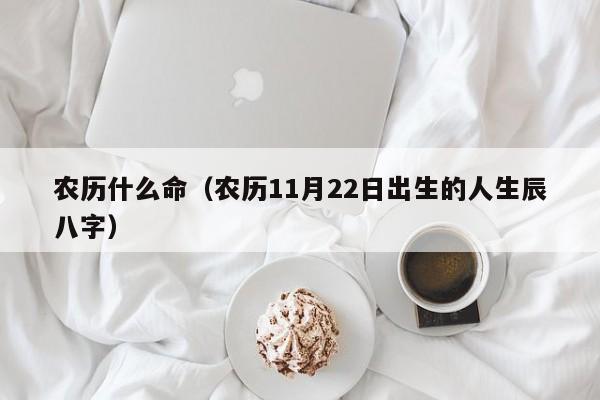 农历什么命（农历11月22日出生的人生辰八字）