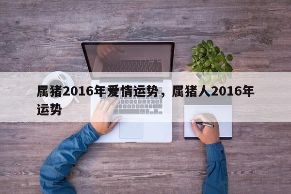 属猪2016年爱情运势，属猪人2016年运势