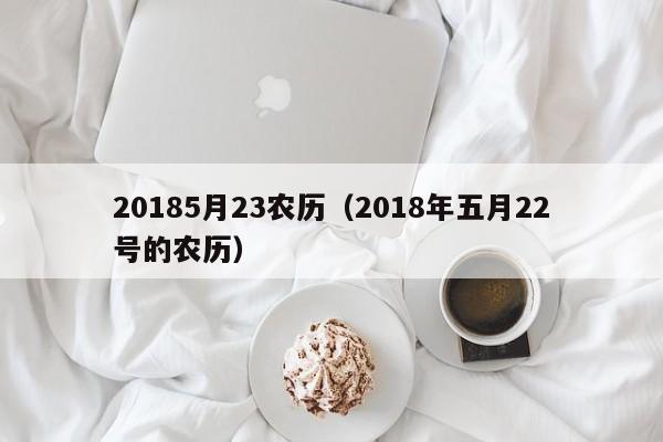 20185月23农历（2018年五月22号的农历）