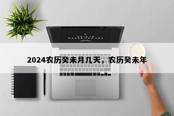 2024农历癸未月几天，农历癸未年