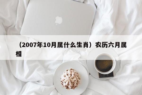 （2007年10月属什么生肖）农历六月属相