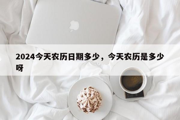 2024今天农历日期多少，今天农历是多少呀