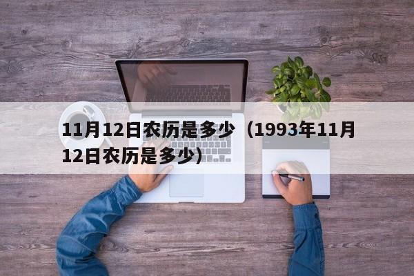 11月12日农历是多少（1993年11月12日农历是多少）