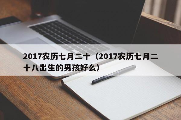 2017农历七月二十（2017农历七月二十八出生的男孩好么）