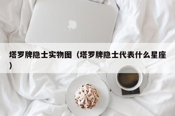 塔罗牌隐士实物图（塔罗牌隐士代表什么星座）