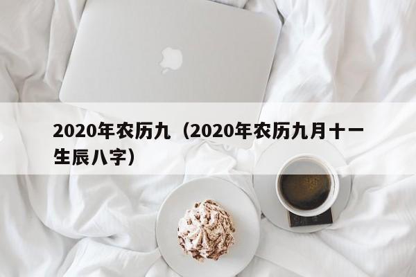 2020年农历九（2020年农历九月十一生辰八字）