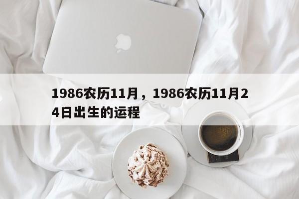 1986农历11月，1986农历11月24日出生的运程