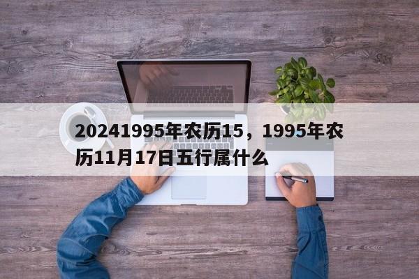 20241995年农历15，1995年农历11月17日五行属什么