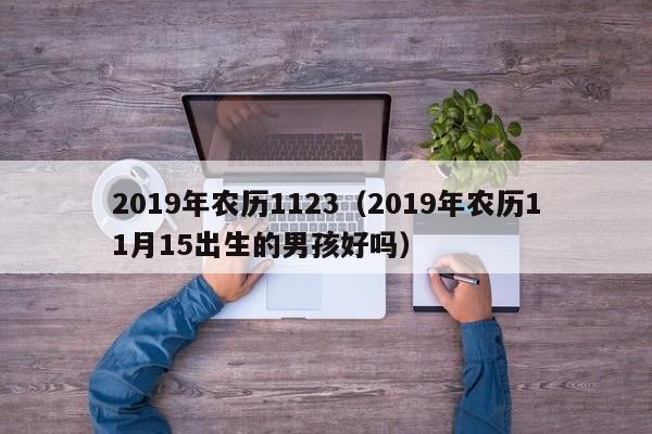 2019年农历1123（2019年农历11月15出生的男孩好吗）