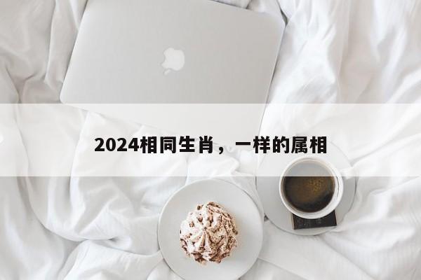 2024相同生肖，一样的属相